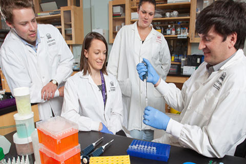 Four researcher researching at the Lab