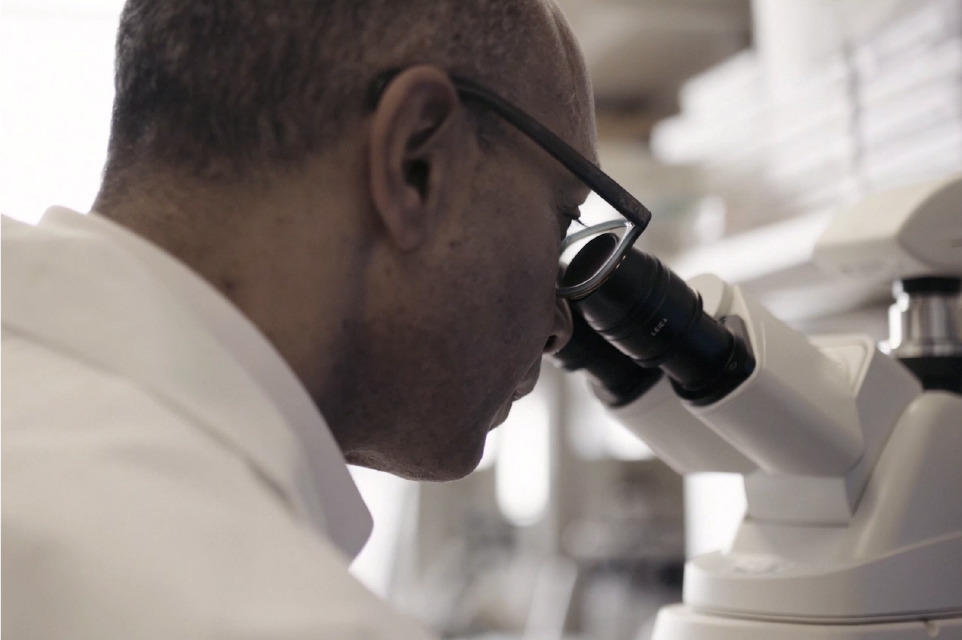 Bernard Thebaud looks into a microscope
