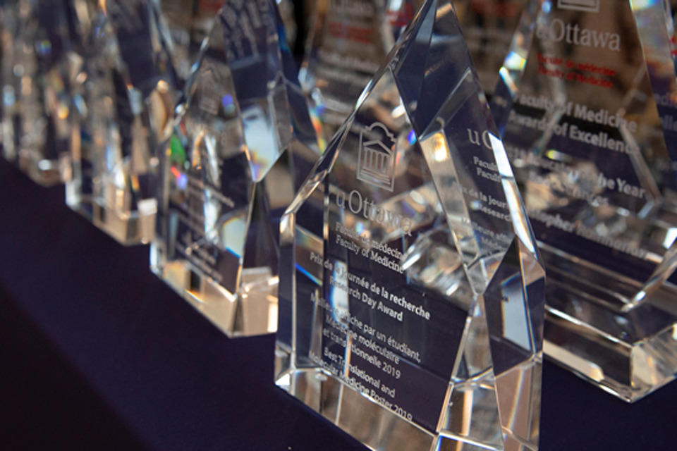 award trophies kept on a table