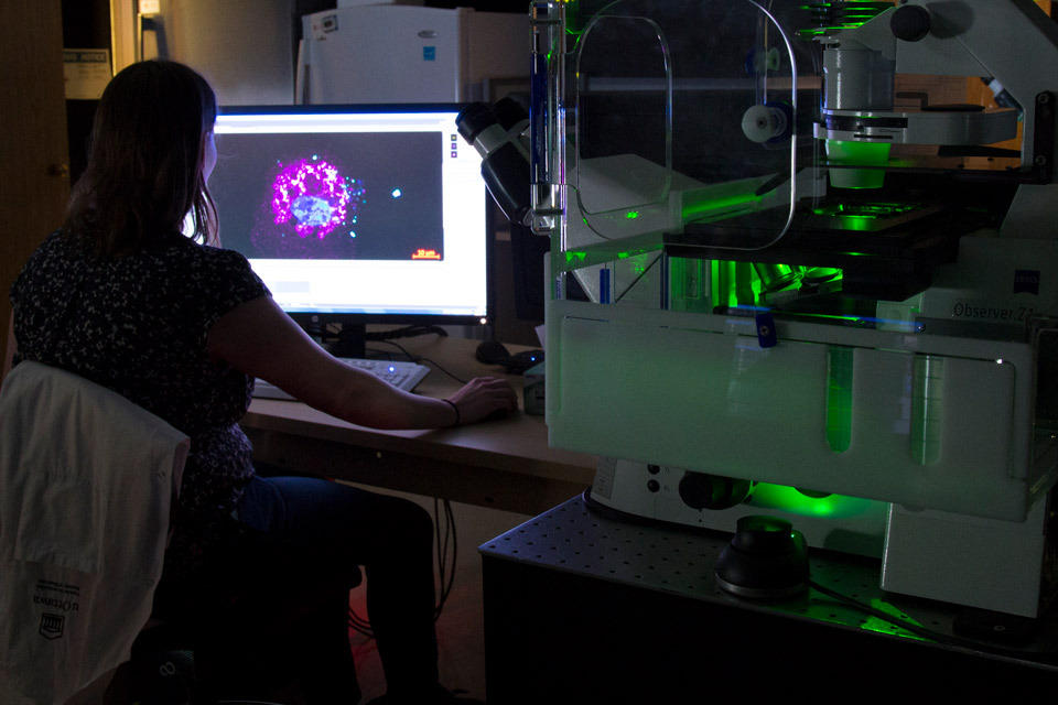 A researcher viewing an image of her research on a computer screen.om across four faculties at the University.