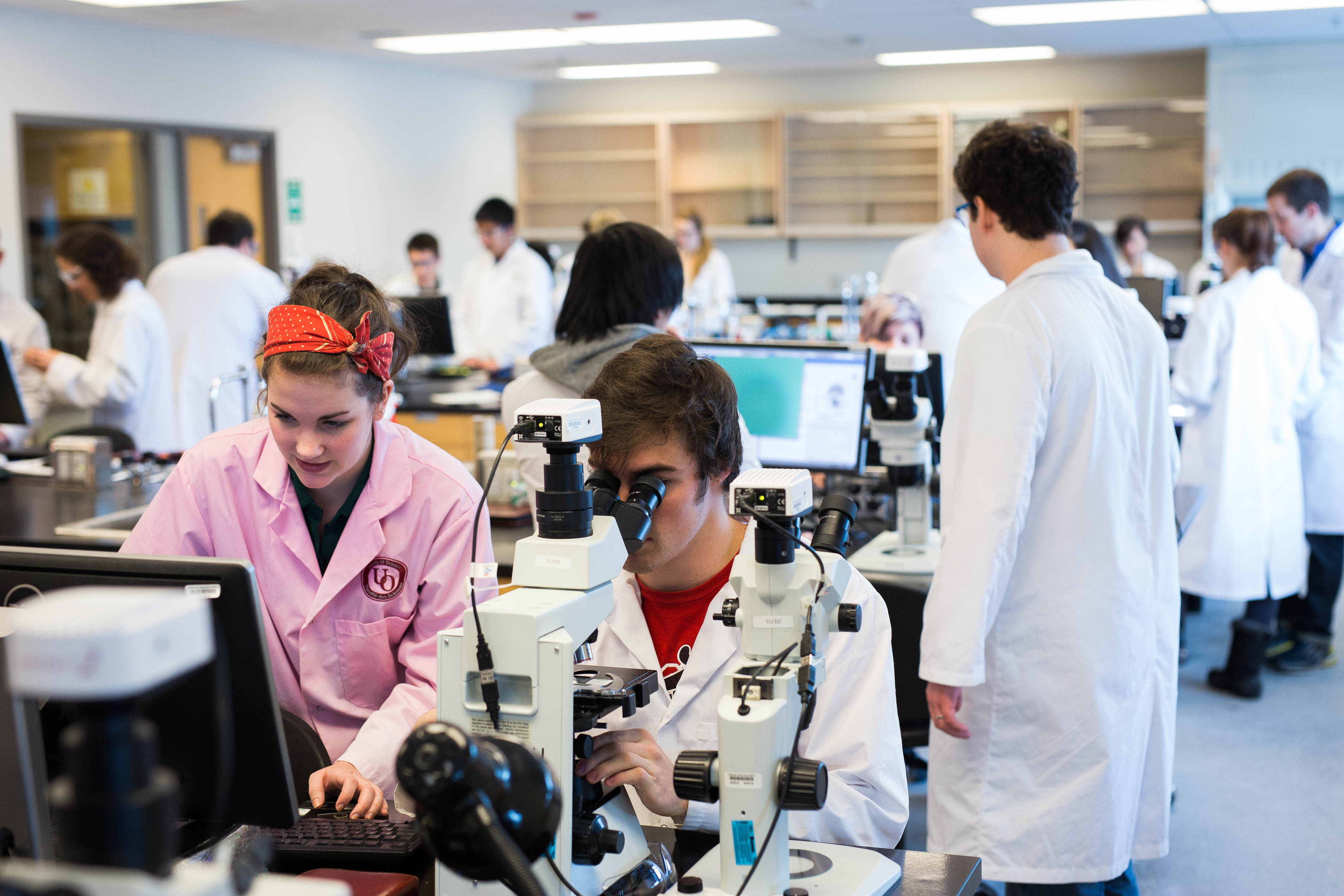 Students working in a biology lab