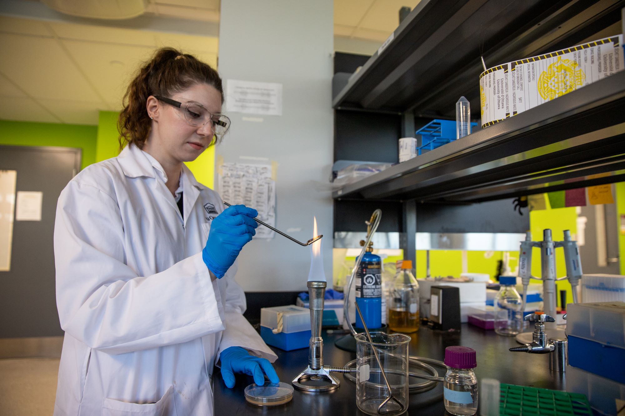 Research opportunities for students | Faculty of Science