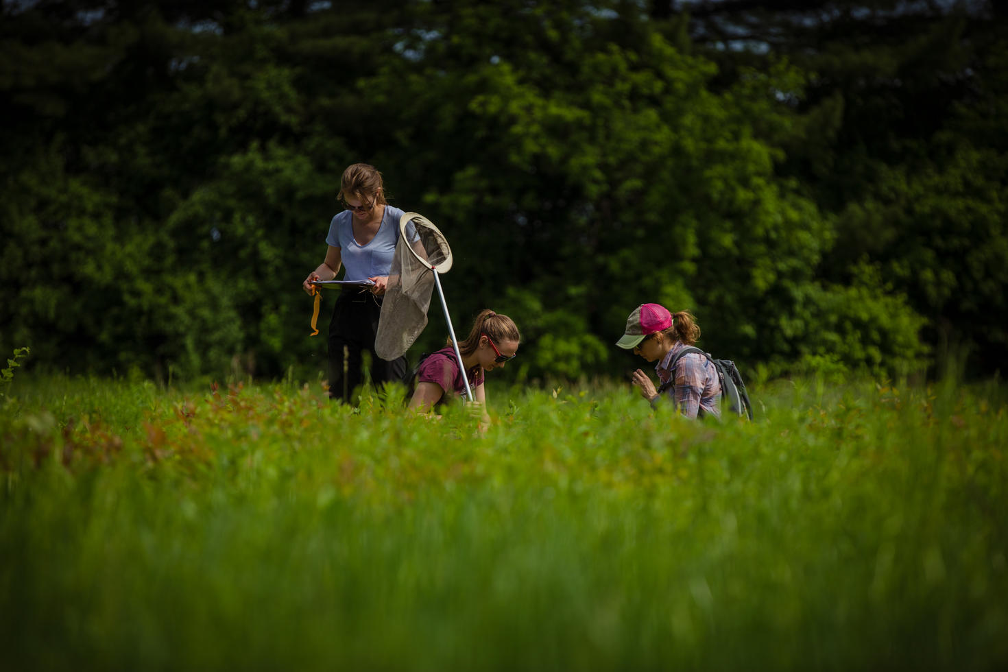 Prof. Heather Kharouba in the field with two students