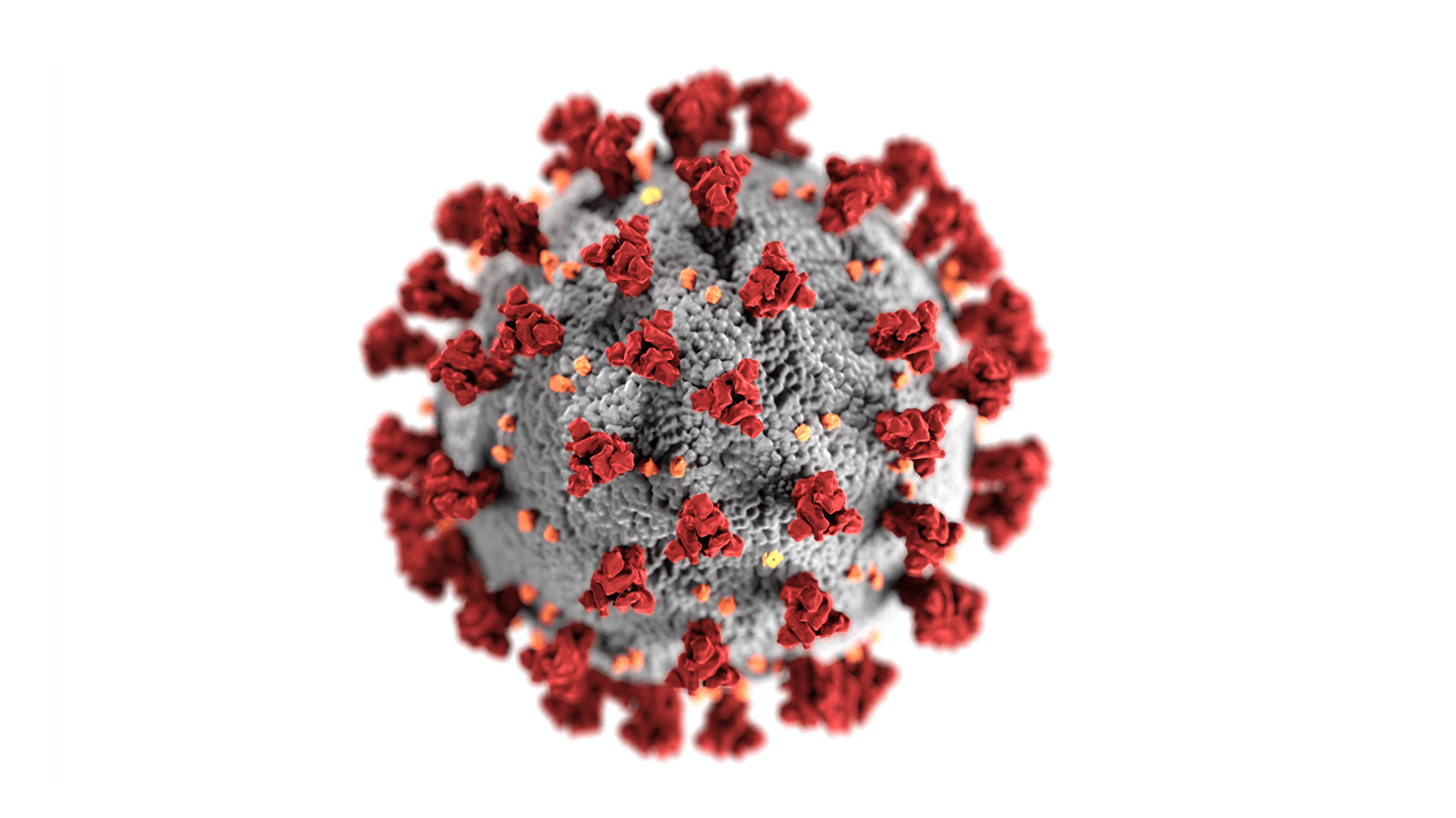 Illustration of the coronavirus.