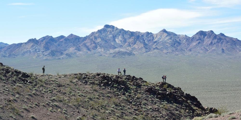 Researchers working in a field seen from far away
