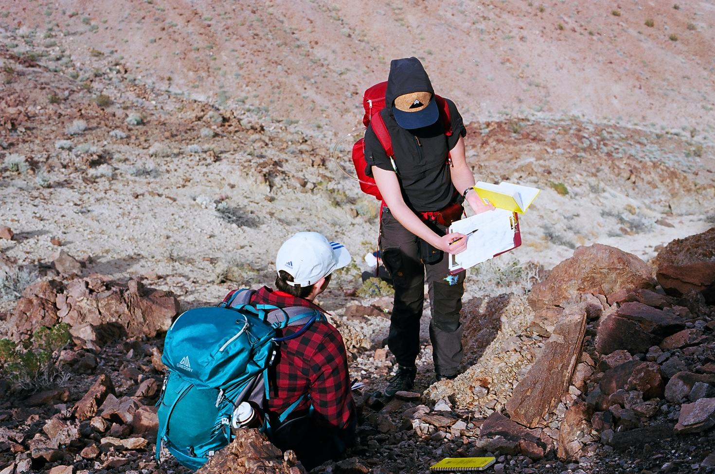 Students looking at charts in the field