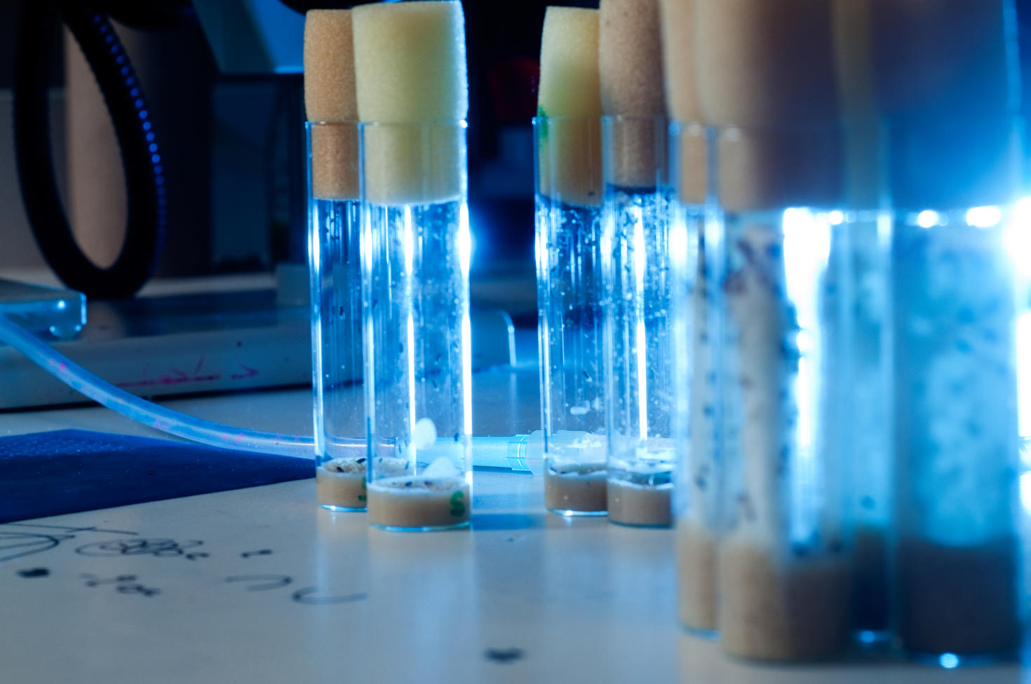 Close up on liquid samples
