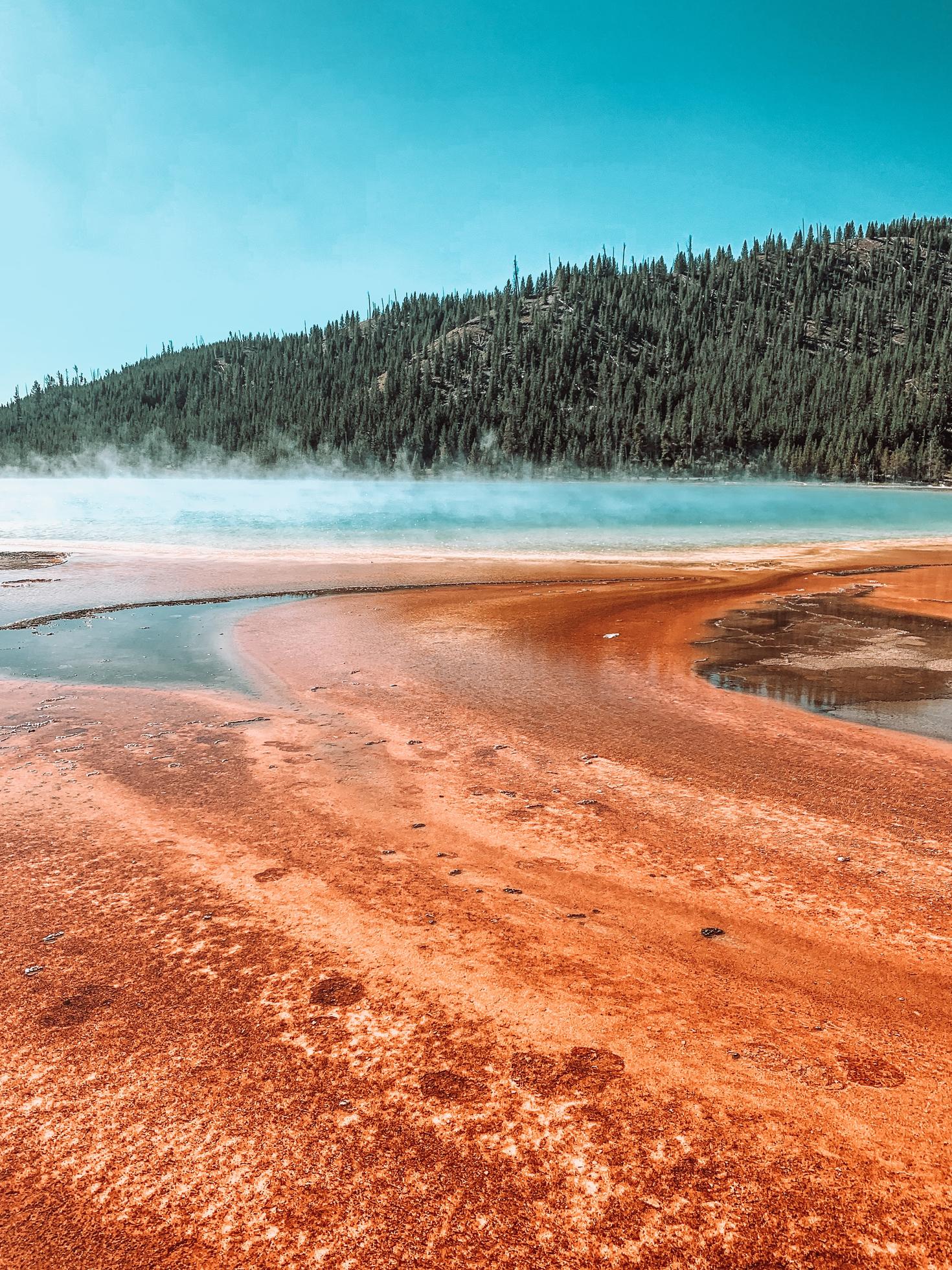Geothermal spring on sandy terrain near fir forest on sunny day