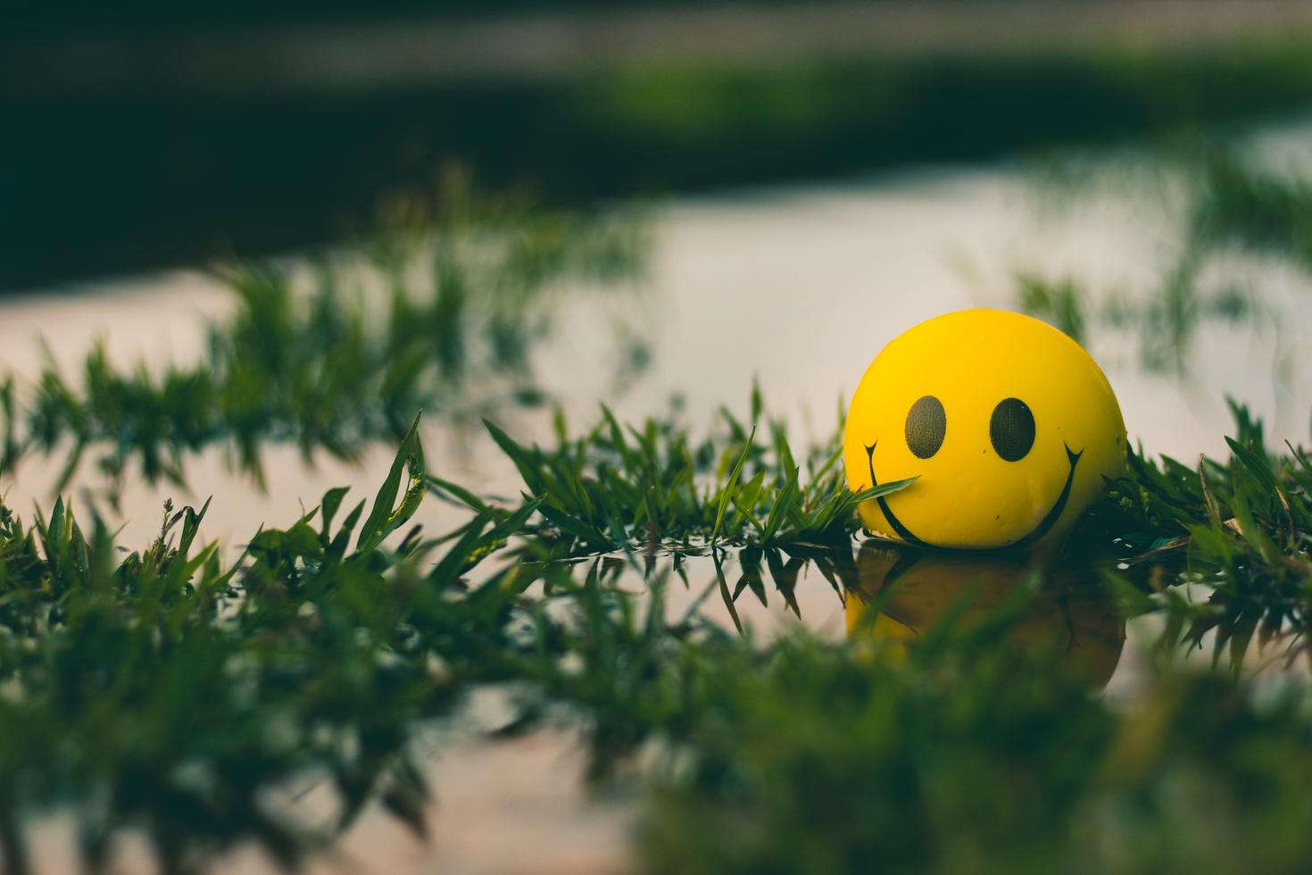 Smily face ball in greens on a table