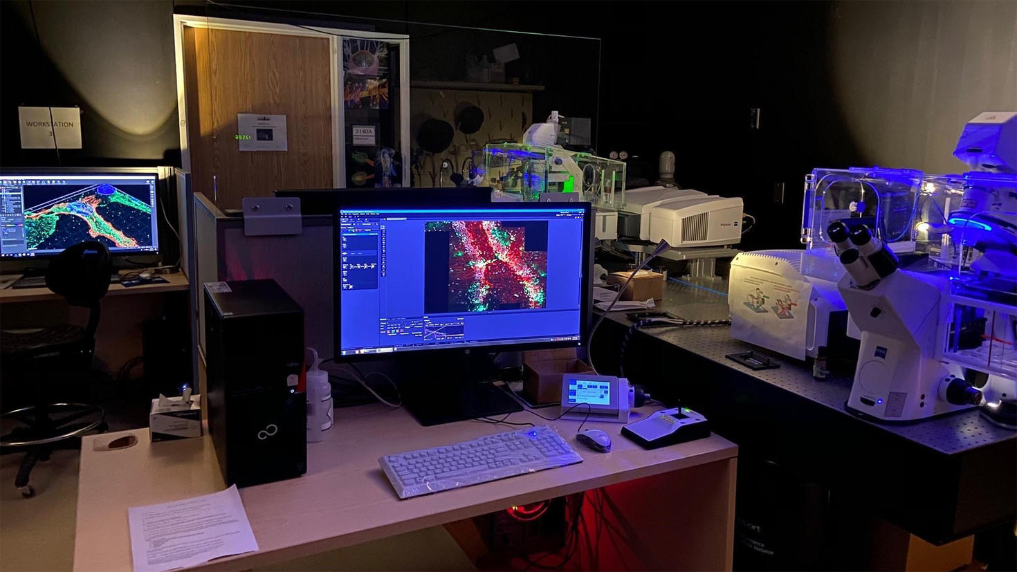 The Cell Biology and Image Acquisition (CBIA) Core Facility