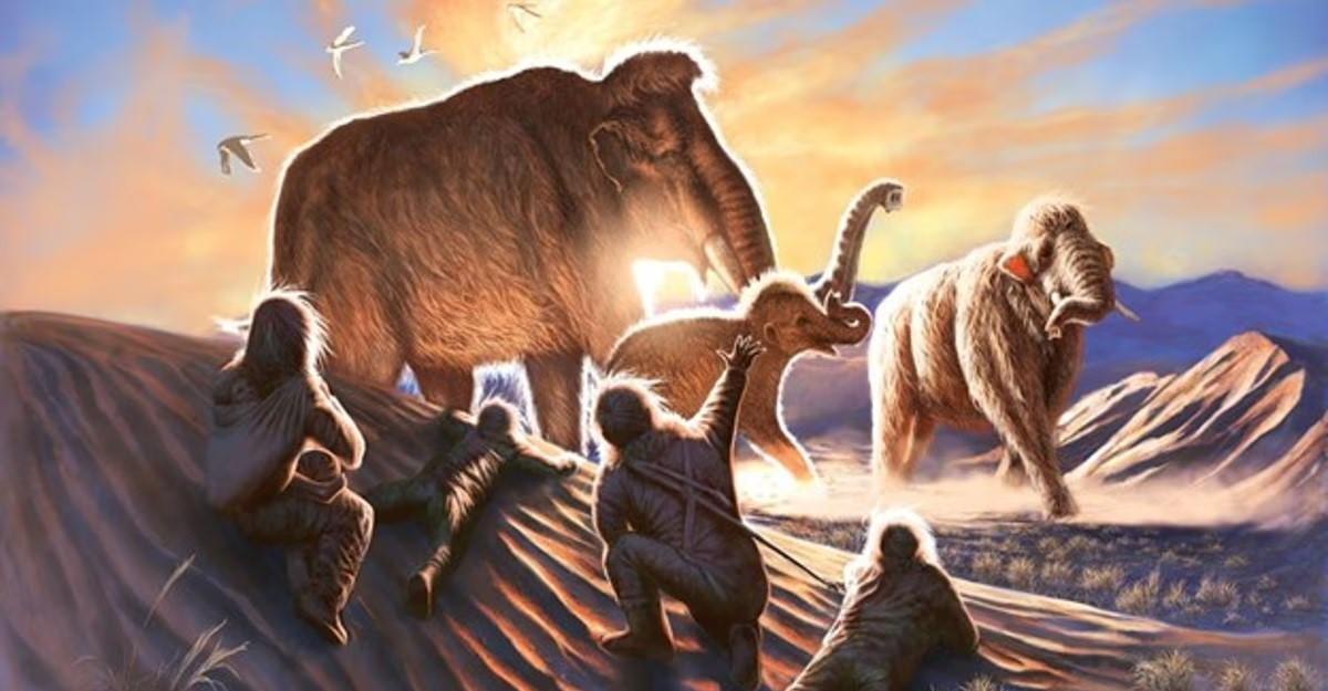 Mammoth illustration, Artwork by Julius Csotonyi showing a group of people watching mammoths from the dunes north of the Swan Point Archeological Site
