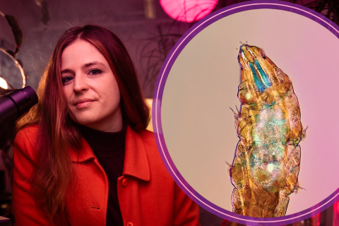 Chloé Savard, aka Tardibabe, beside a microscopic image of a tardigrade