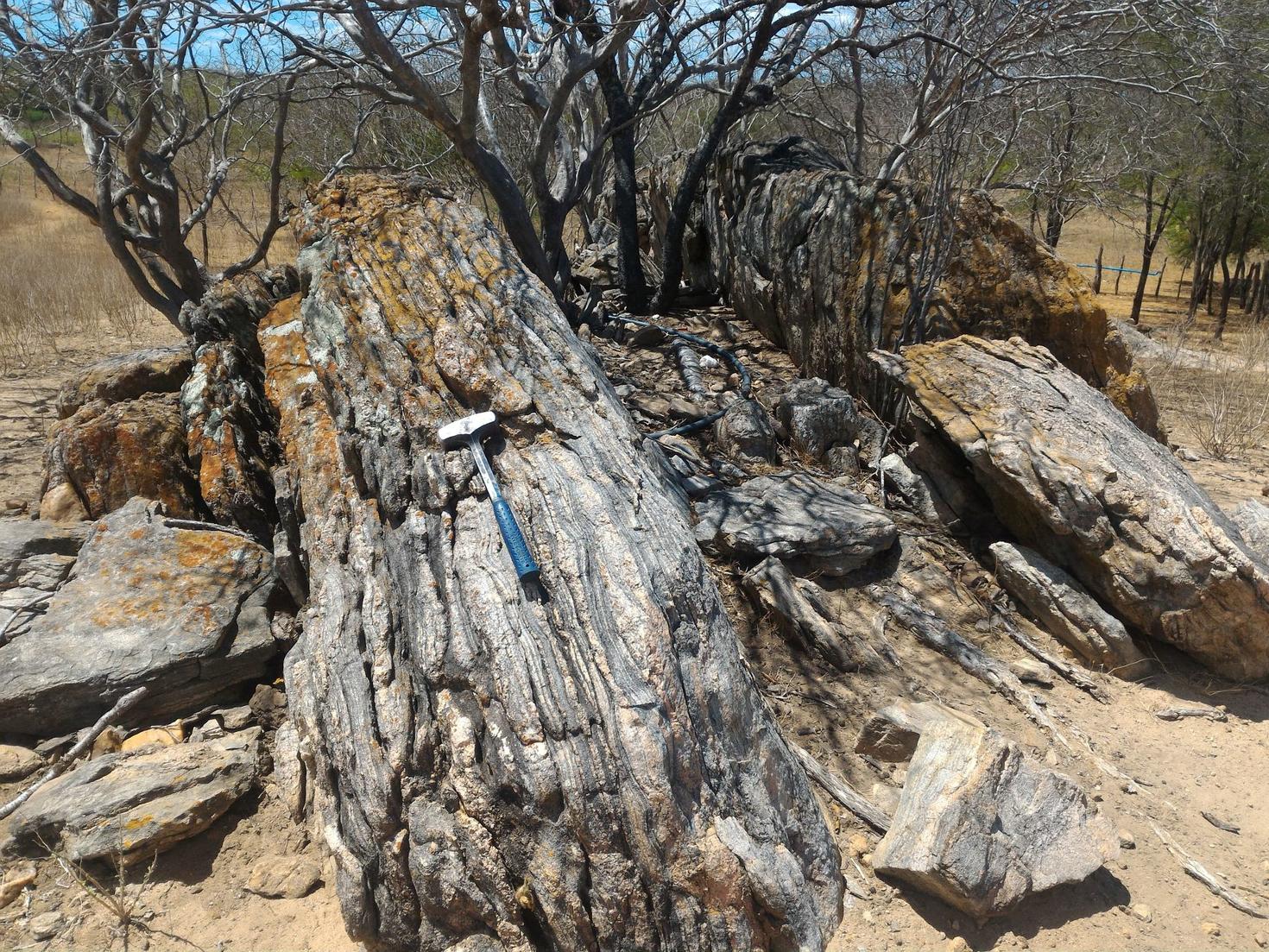 Outcrop of 3.4-billion-year-old rocks in northeastern Brazil, with a geology hammer for scale. The image shows a dry, arid landscape with sparse vegetation and rugged terrain, conditions essential for good rock exposure.