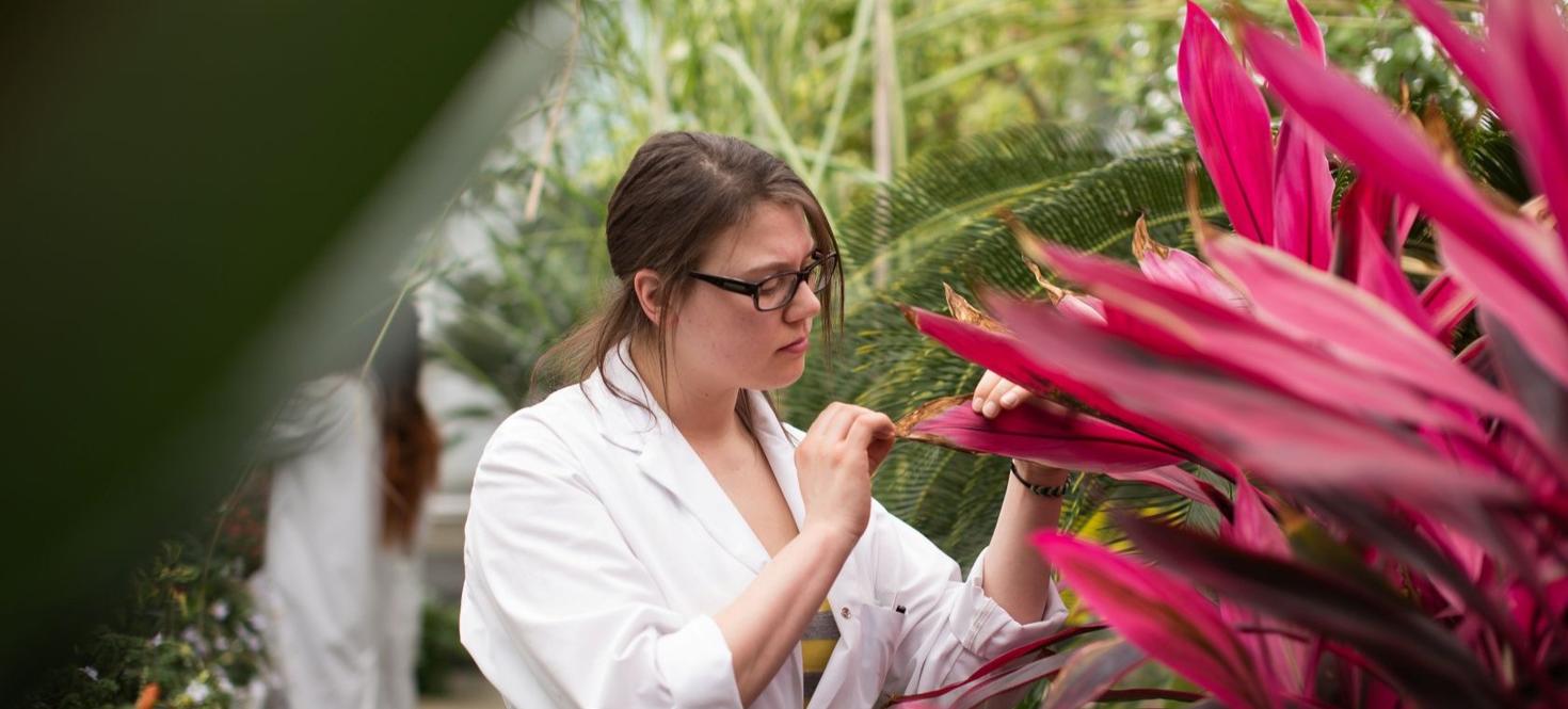 Female student looking up close to a plant leaf