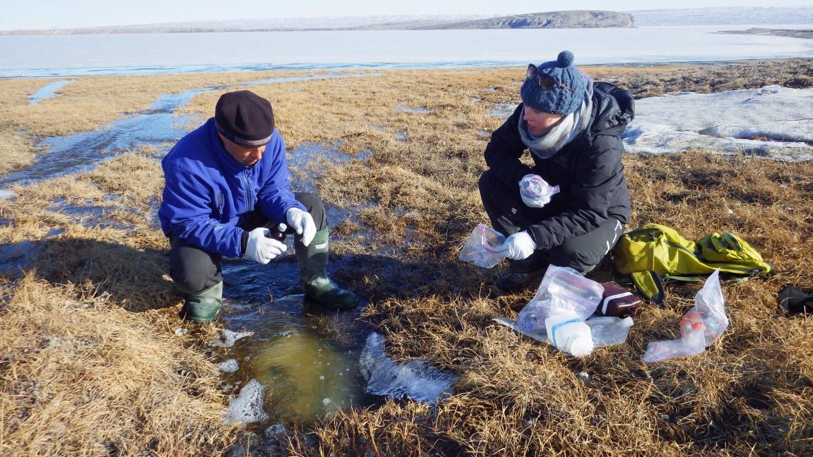 Professor Kyra St. Pierre kneels on a rocky riverbank in a remote, mountainous Arctic landscape, collecting water samples from a fast-flowing stream under a clear blue sky.