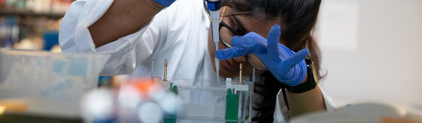 Female researcher manipulating samples. 