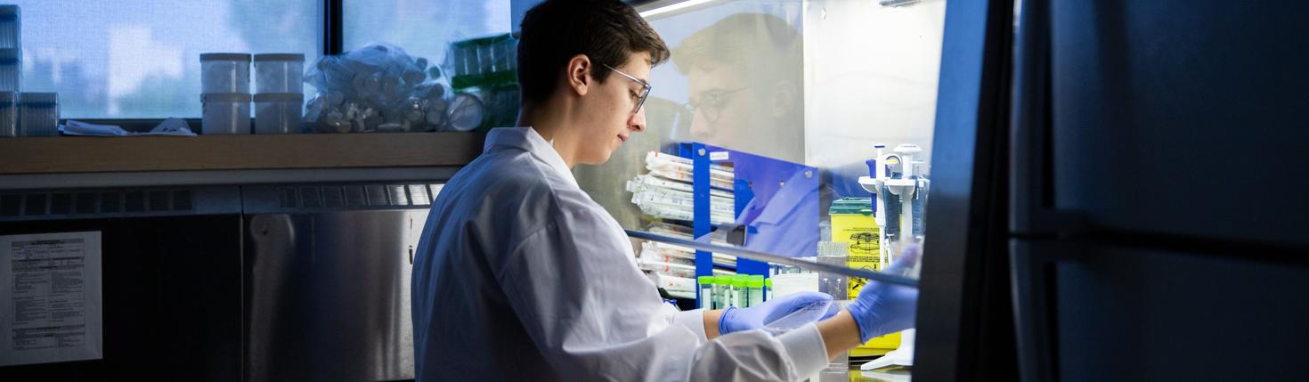 Male students working with liquid samples under a fumehood