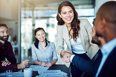 handshake at meeting or interview