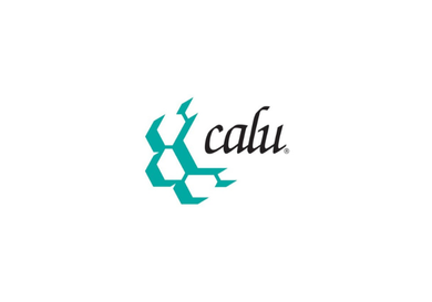 Conference for Advanced Life Underwriting (CALU)