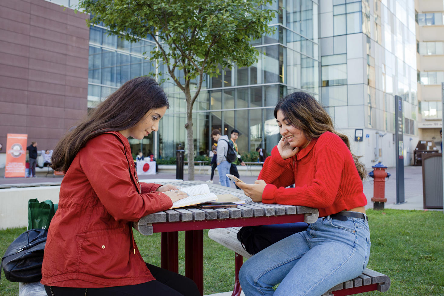 Students working outdoors