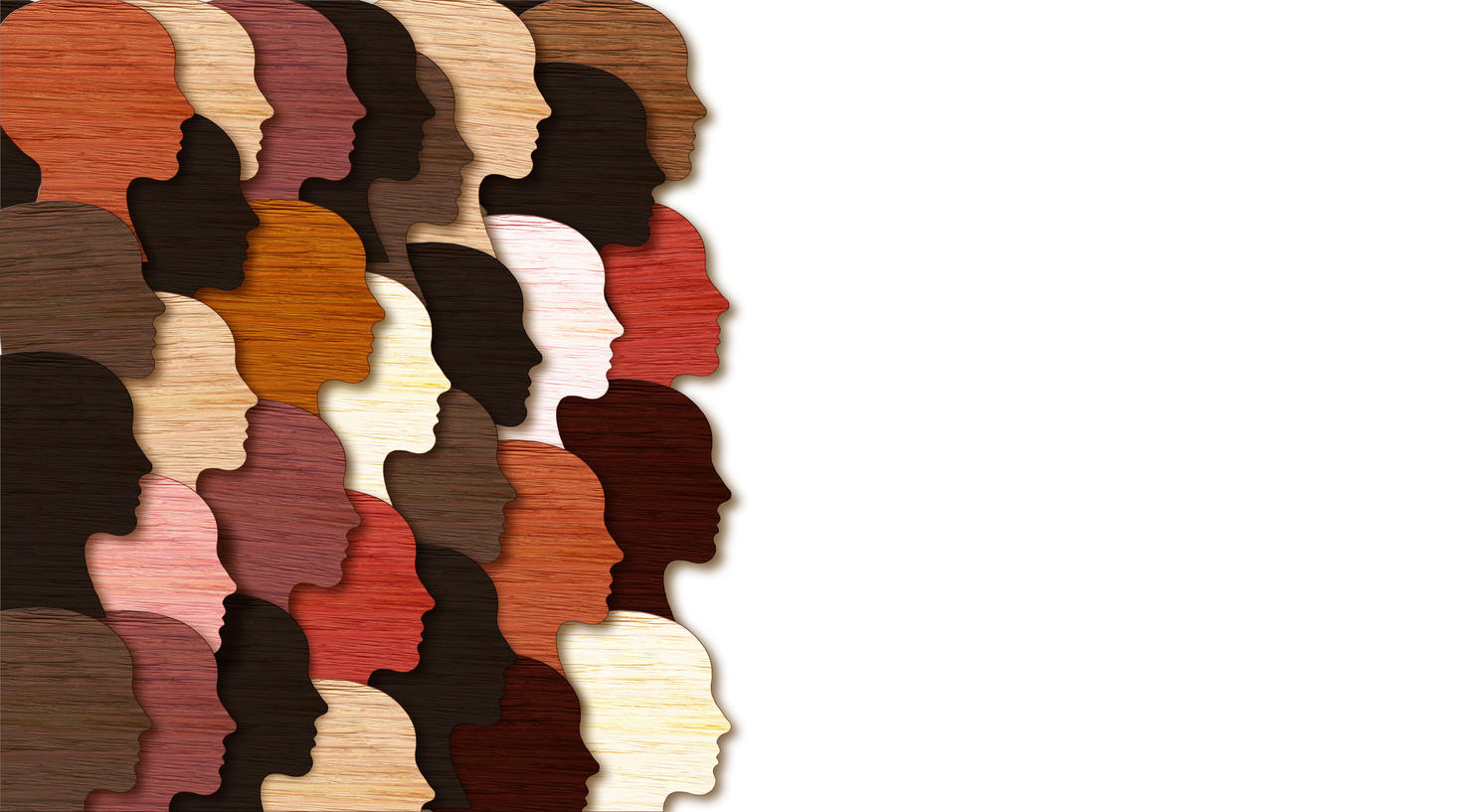 multicoloured profiles of people