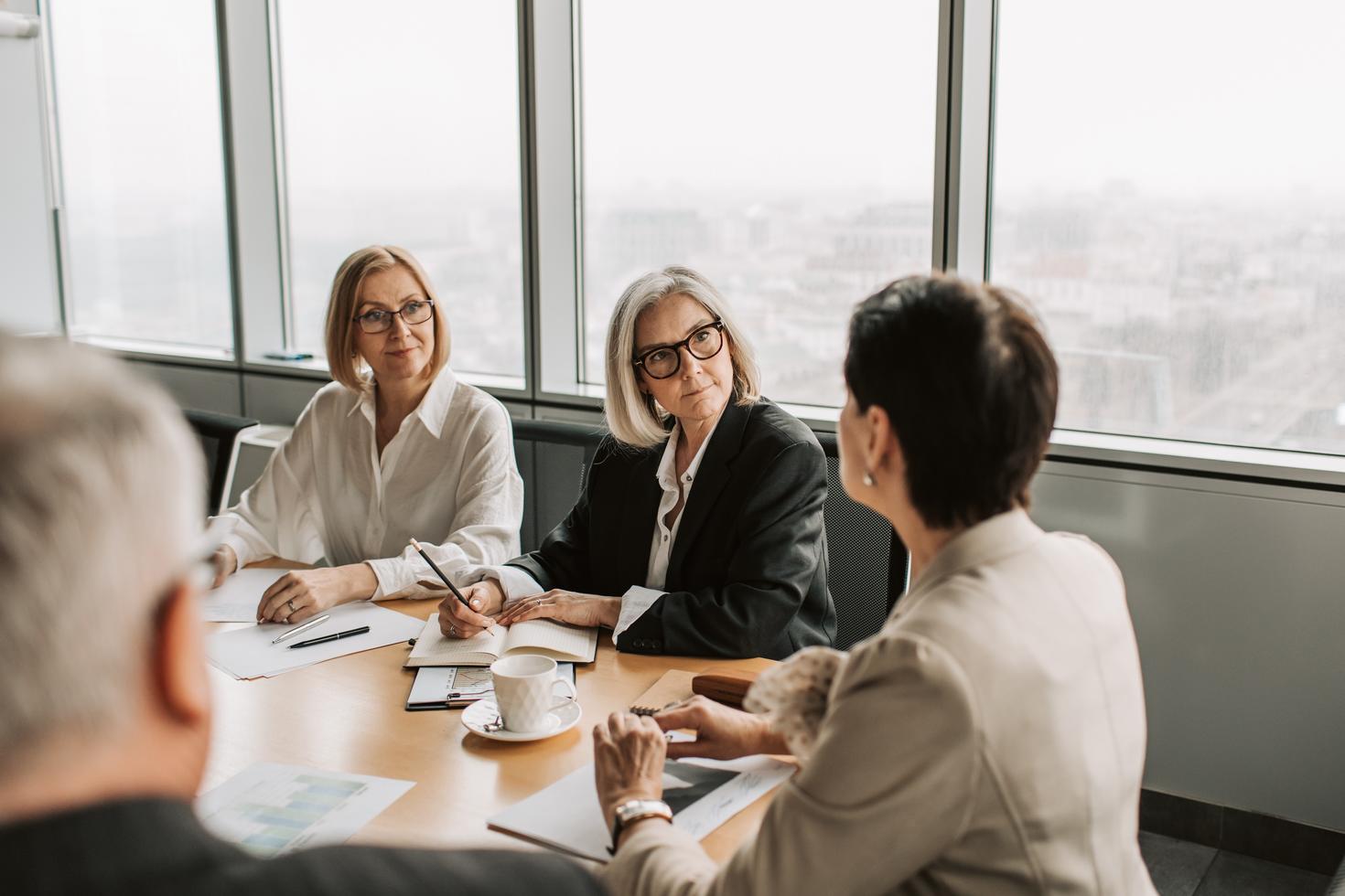 Professionals in a meeting