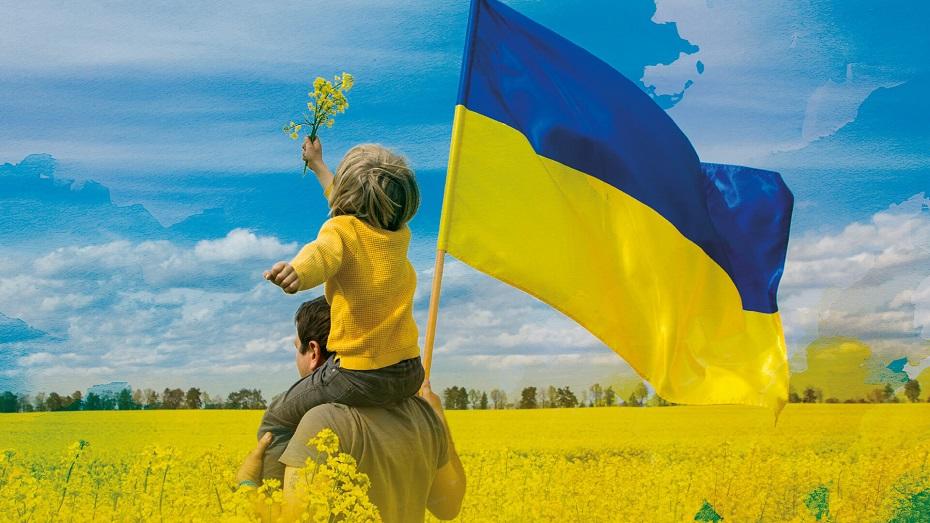 child with yellow flowers sitting on father's shoulders who is also caring Ukraine flag in field of yellow flowers