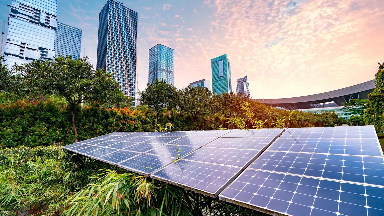 Sustainability