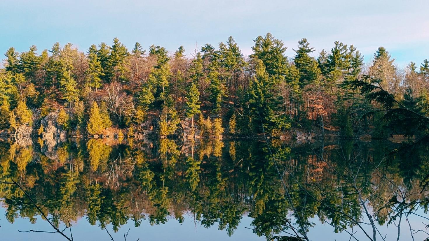 fall trees mirrored in pink lake
