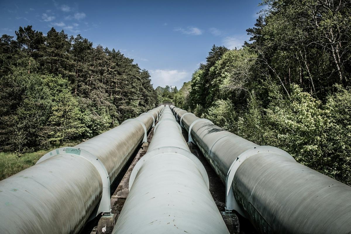 Pipelines running through a forest