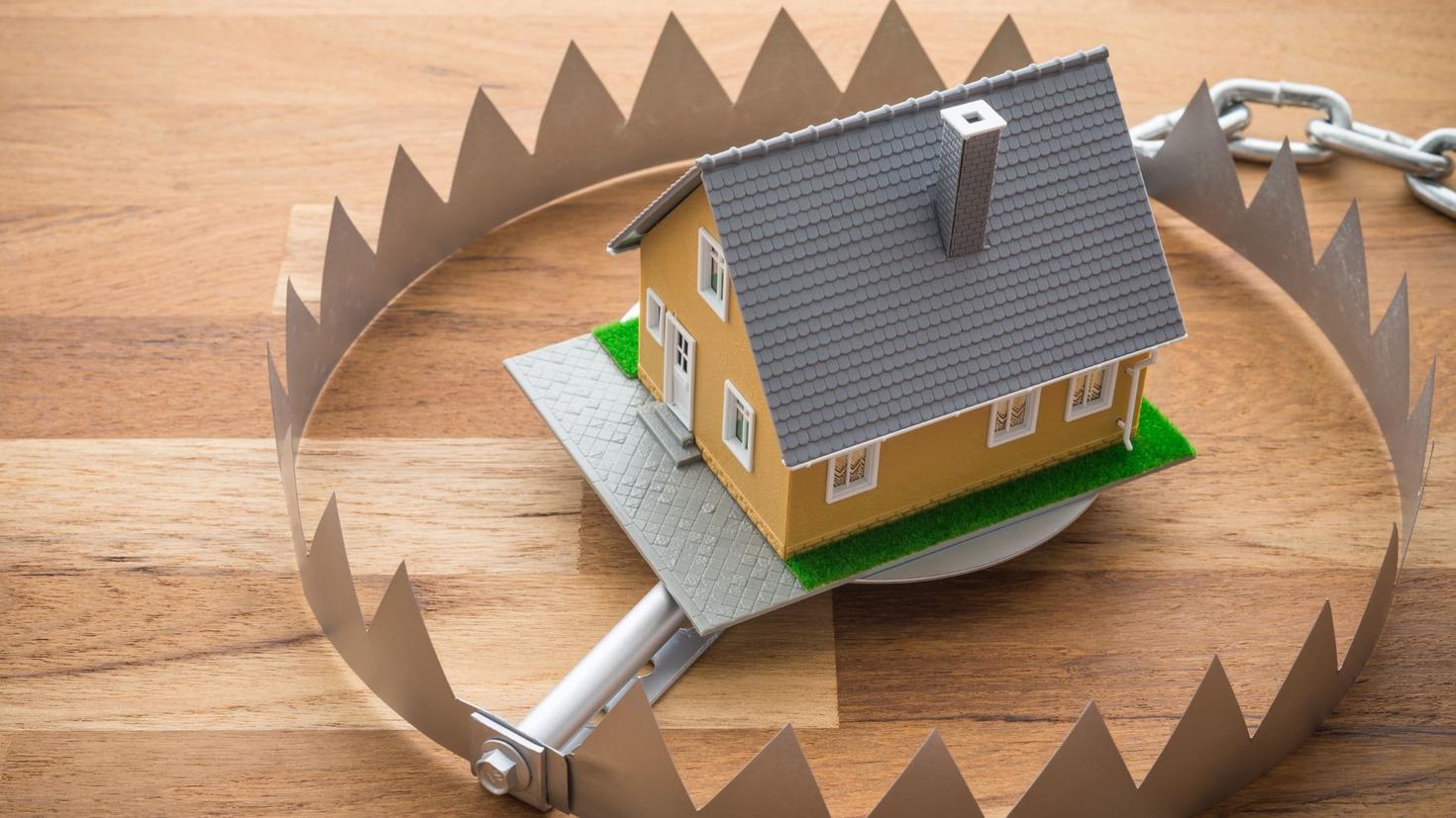 house in a trap 