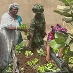 Three women planting seeds and tending the growing plants