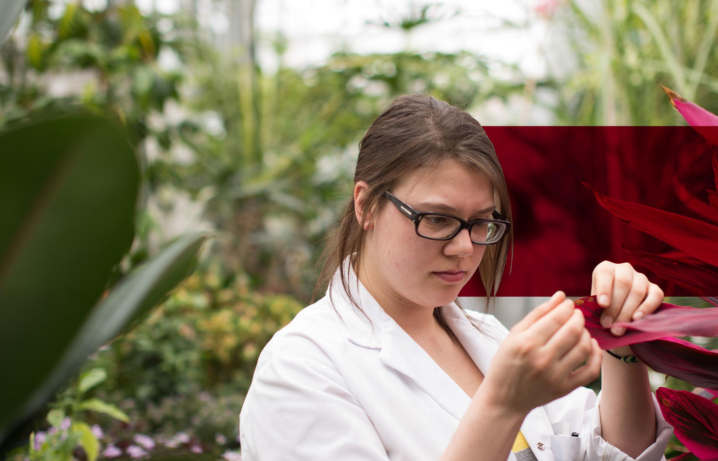 branded image of student examining plants