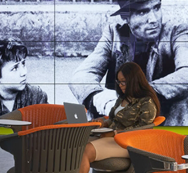 Person working in library 