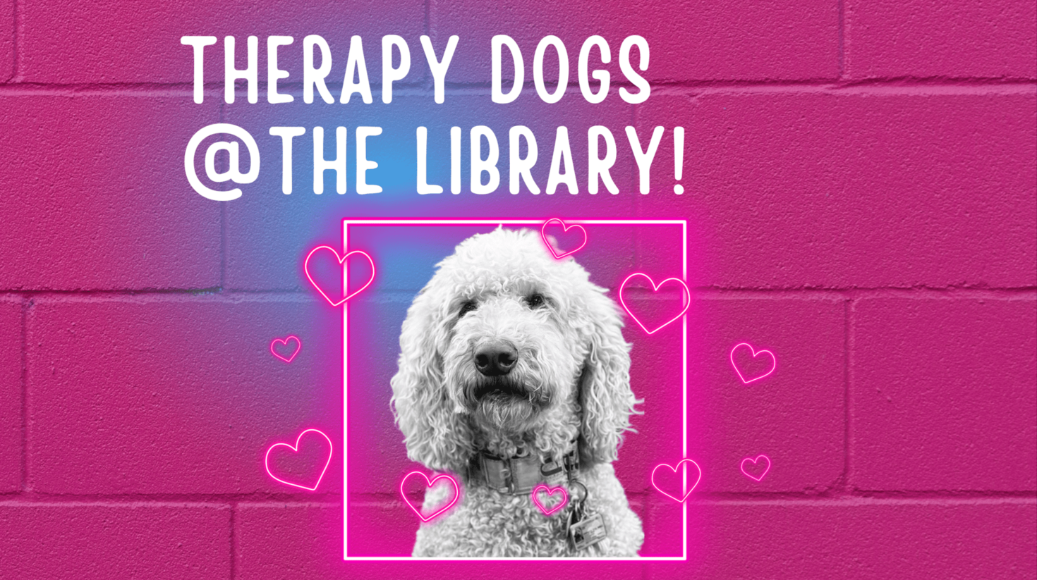 Therapy Dog 