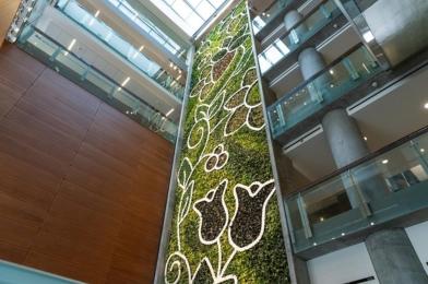 Living wall in the Faculty of Social sciences.