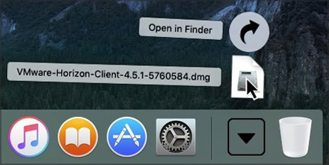 Screenshot of downloads showing VMware Horizon client.