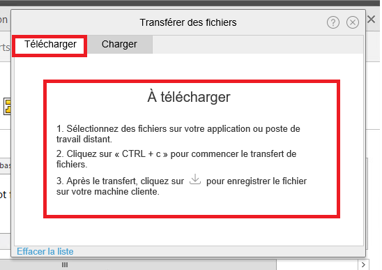 Capture d'écran de l'interface de téléchargement