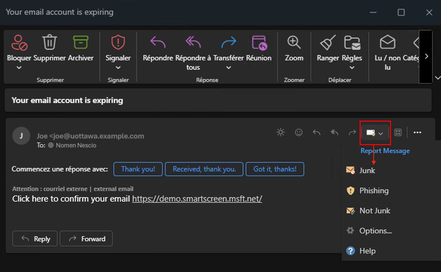 Email ouvert sur Outlook on the web. Le message du rapport souligné en rouge est développé