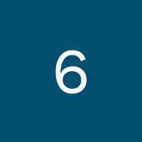 The number 6