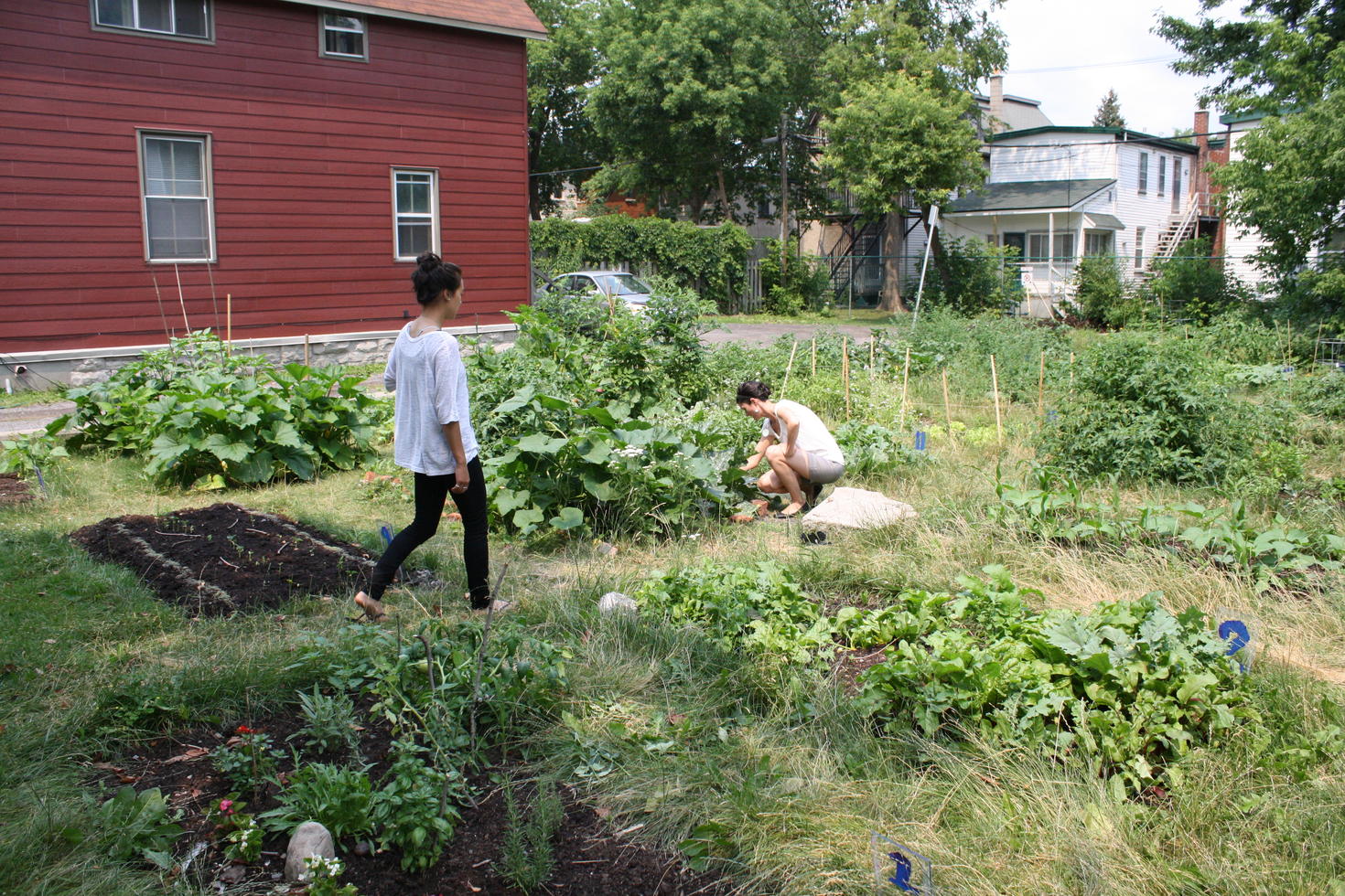 Jardin communautaire sur le campus.