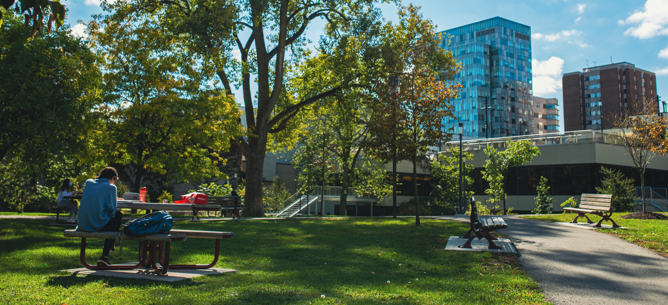 Espaces verts sur le campus
