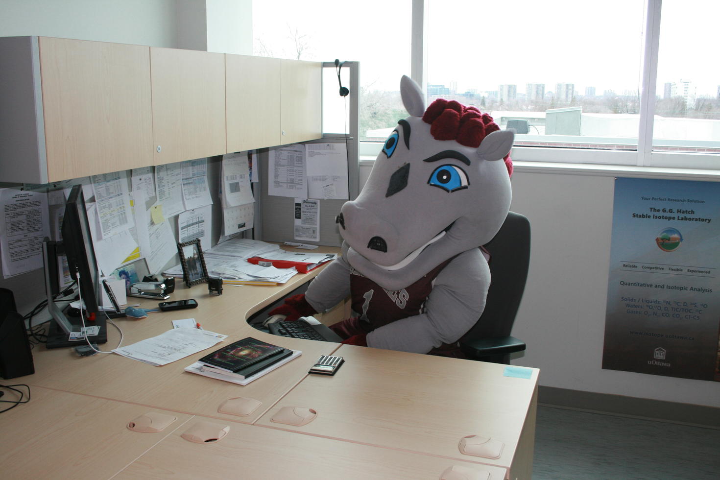 La mascotte des Gee Gees assise à un bureau