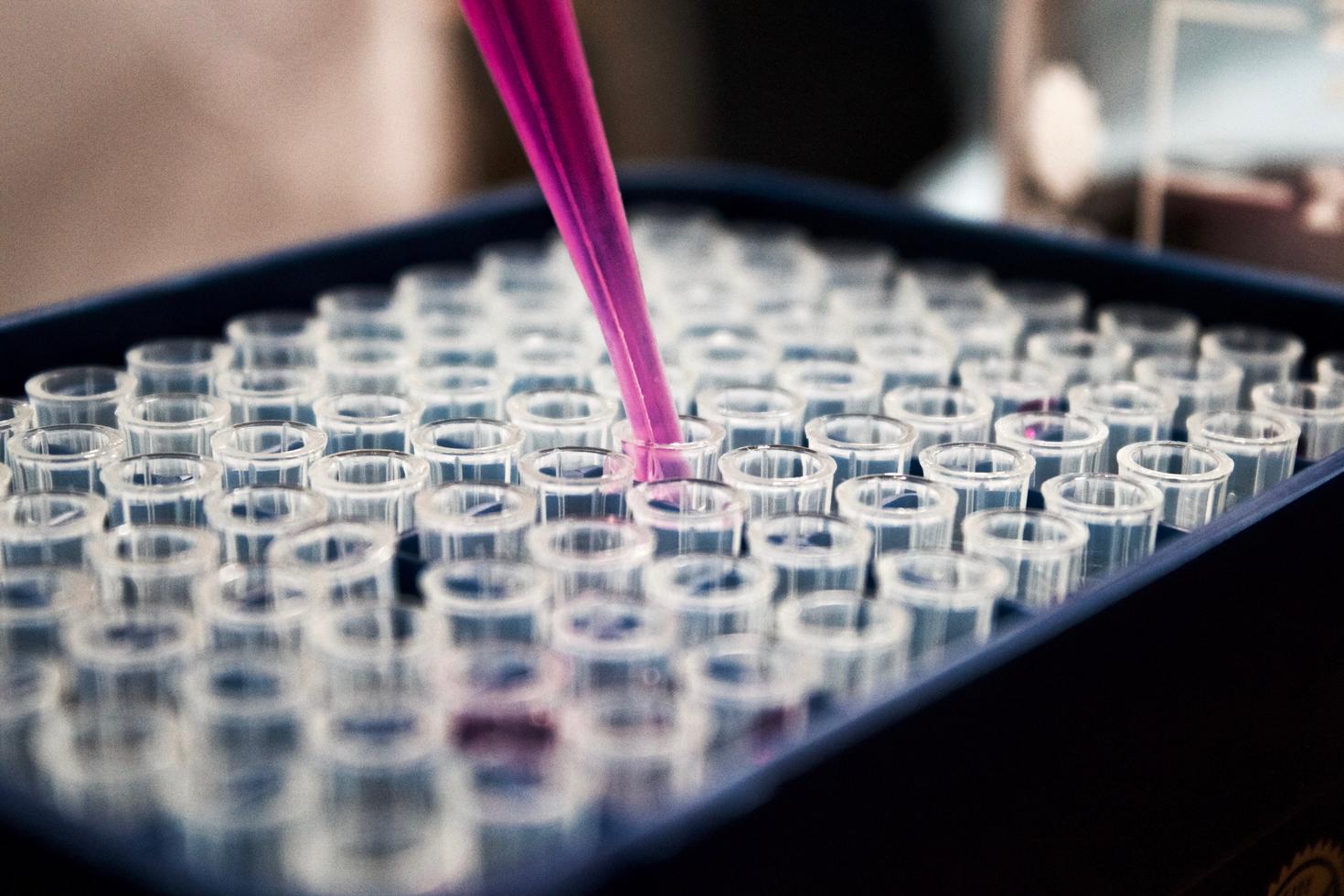 Purple pippette filling vials in a lab