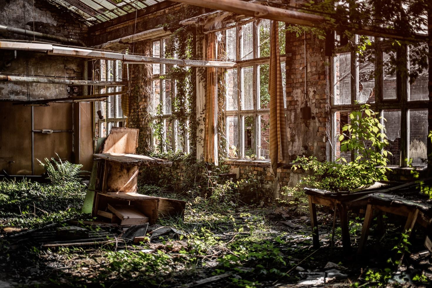 Chambre dans un bâtiment abandonné envahi par la végétation