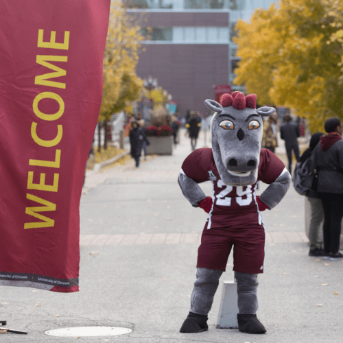 Université d'Ottawa - Mascotte Université d'Ottawa Gee-Gee