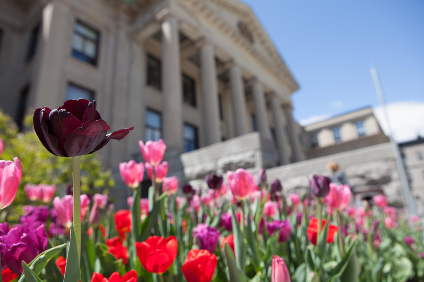 Médias Notre université