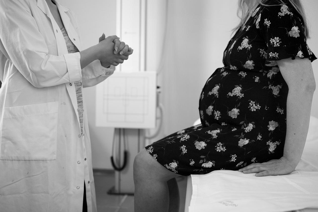 Médecin et patiente enceinte en train de parler