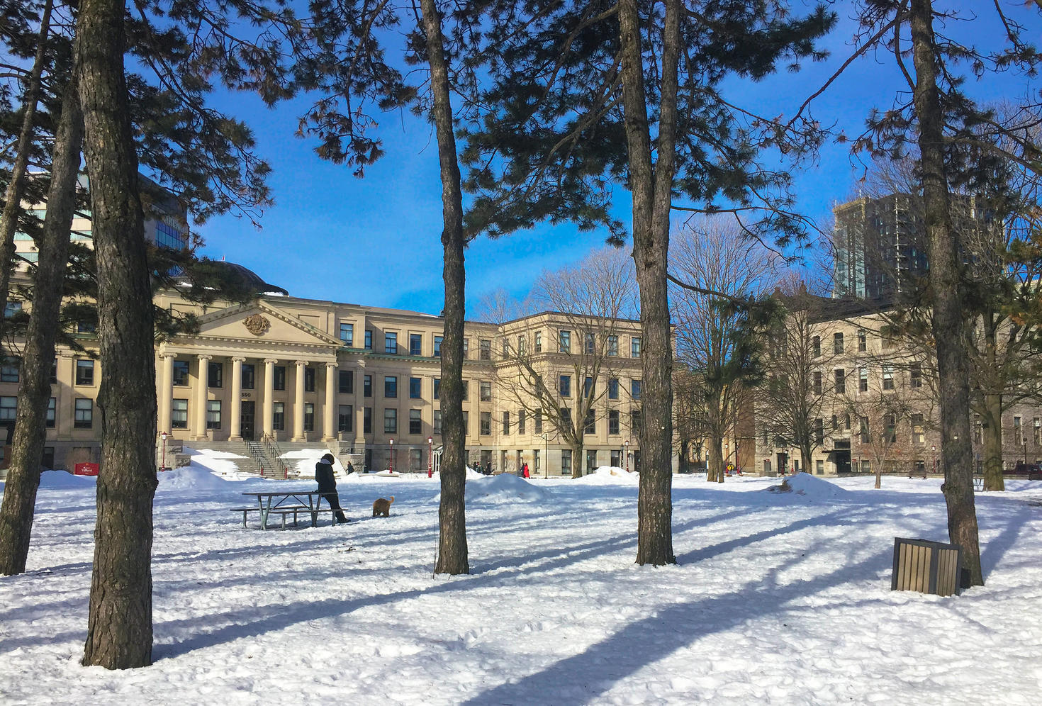 Calendrier des événements à uOttawa – du 4 au 8 mars 2024