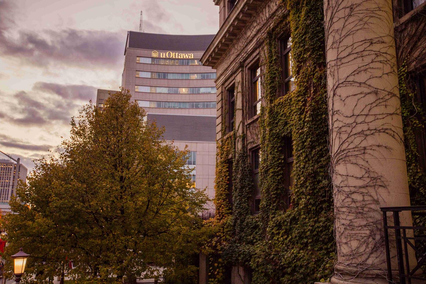 Tabaret building